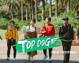 必吃大瓜《TOP DOG》免费在线观看