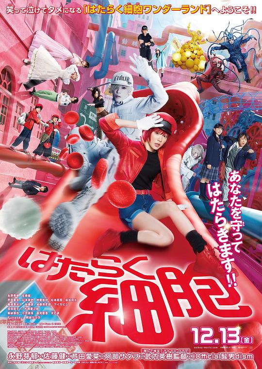 微密圈破解版《工作细胞 真人版 はたらく細胞》免费在线观看