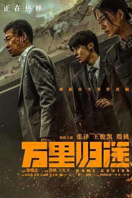 必吃大瓜《万里归途》免费在线观看