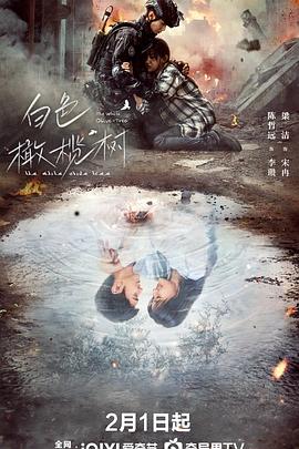 快播导航《白色橄榄树》免费在线观看