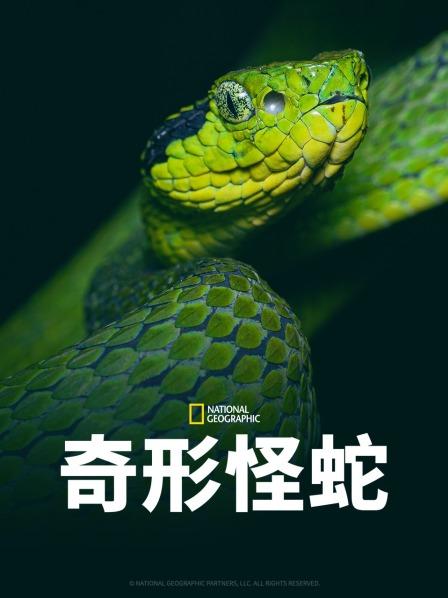 快播导航《奇形怪蛇》免费在线观看