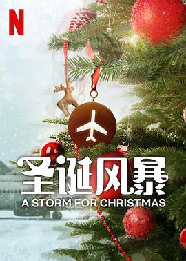 微密圈破解版《圣诞风暴》免费在线观看